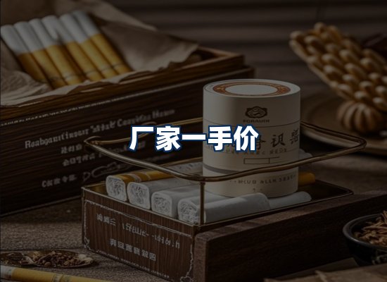 专业团队办公环境